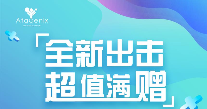 年底重磅 ▏下單即贈禮，滿額就加送~超多實用禮品等你來拿