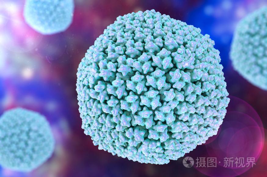 總被要求去內(nèi)毒，究竟是為什么？