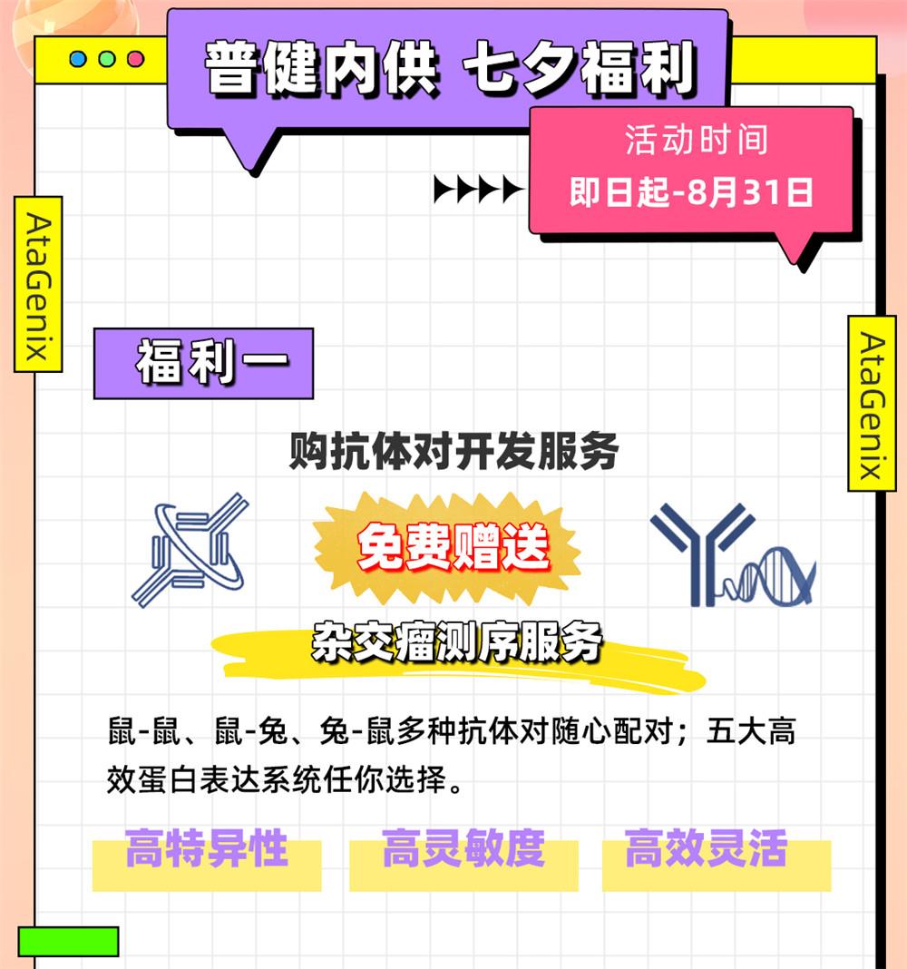 愛在七夕，更在朝夕