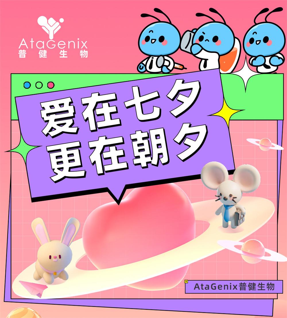 愛在七夕，更在朝夕
