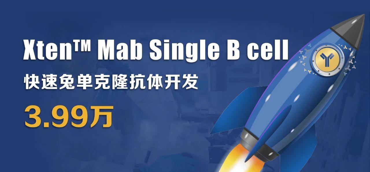 利用兔單B細胞技術制備高親和力、多種表位的抗獨特型單克隆抗體