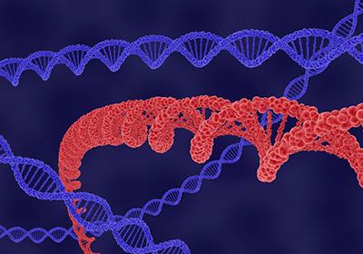重組蛋白表達(dá)