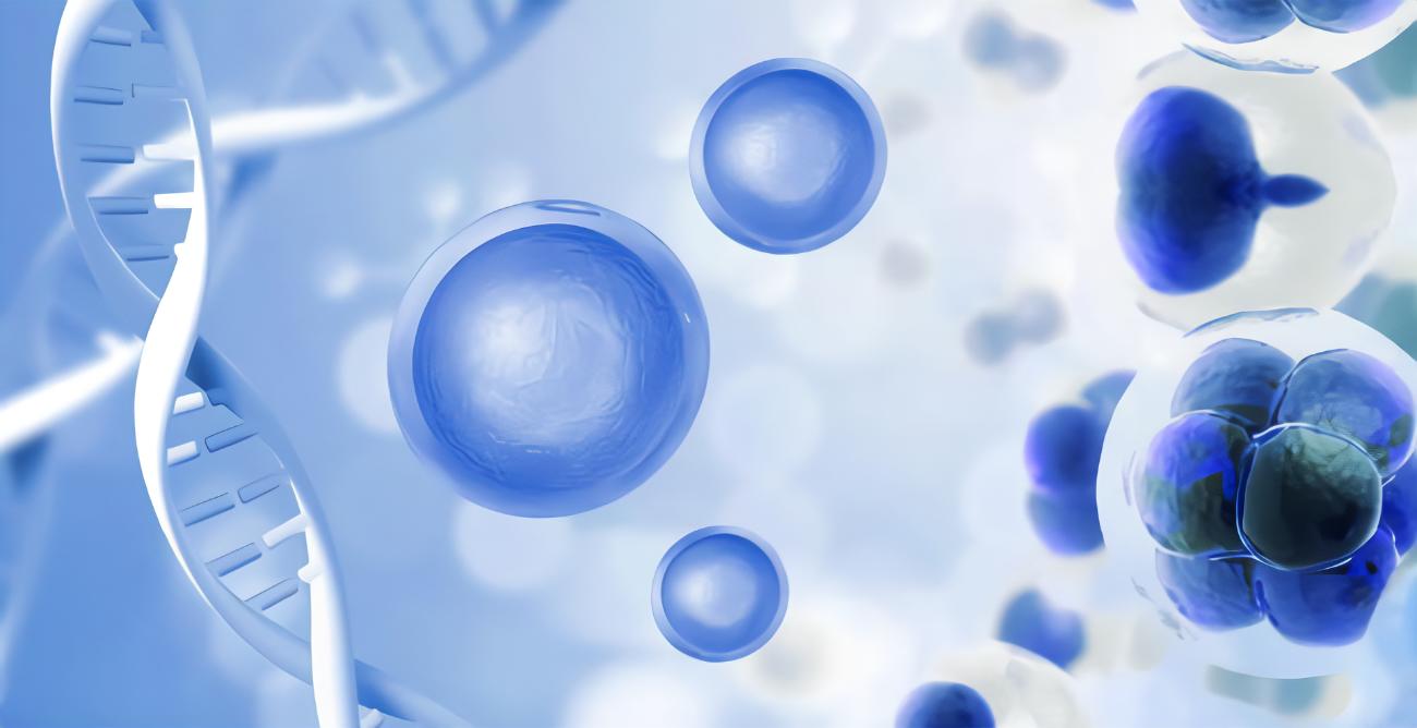 CD133、CD44、CD11b在急性髓系白血病中的表達及其與臨床預后的相關性研究
